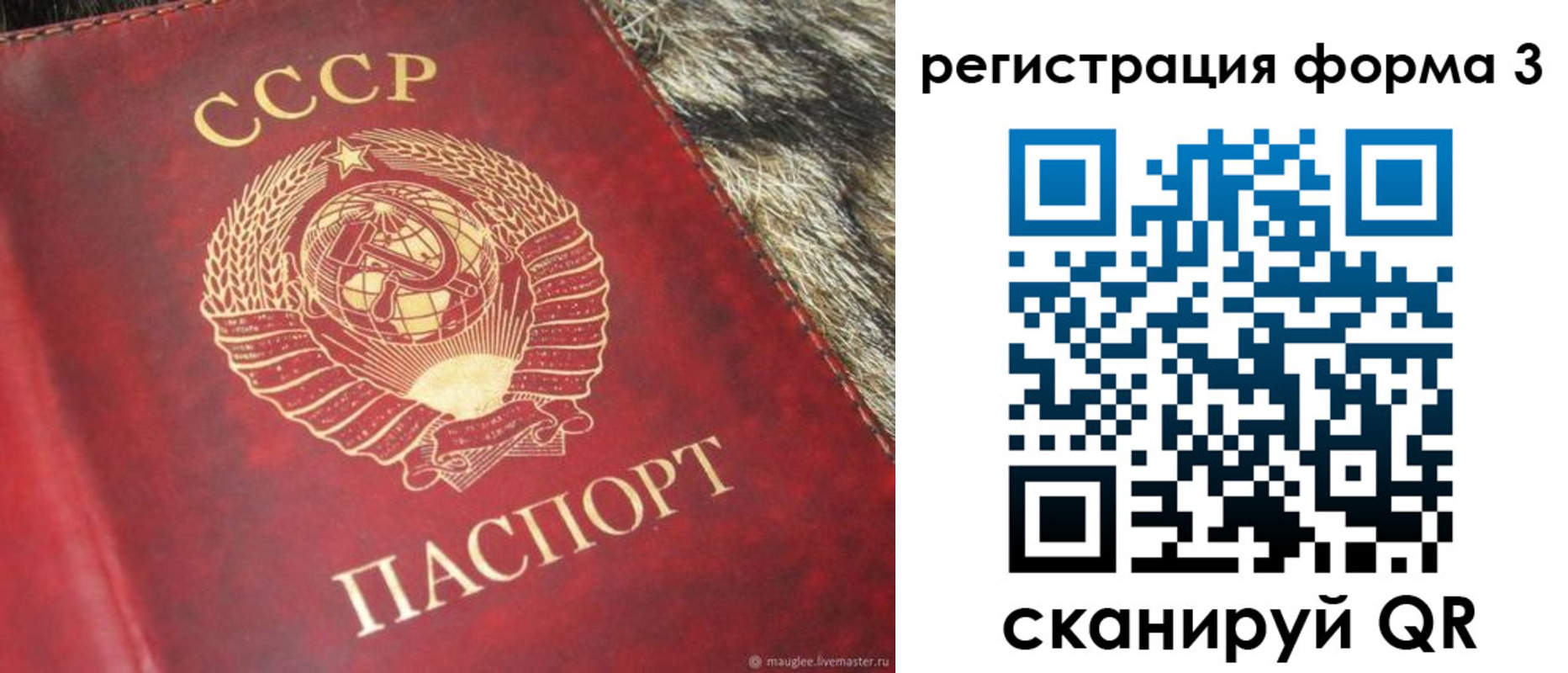 прописка регистрация в Камышине